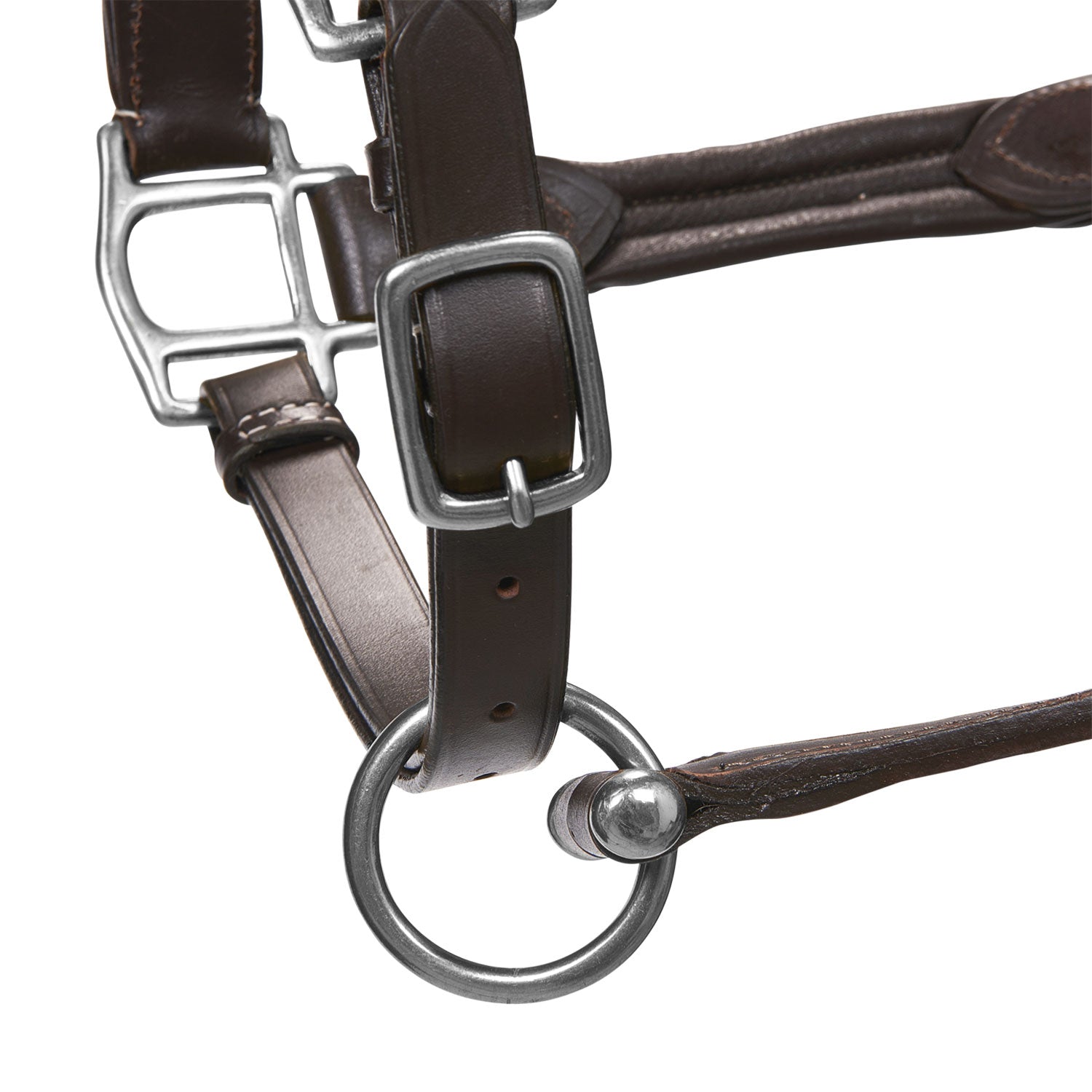 Equestro Cavezza Cuoio Morbido Fibbie Resistenti