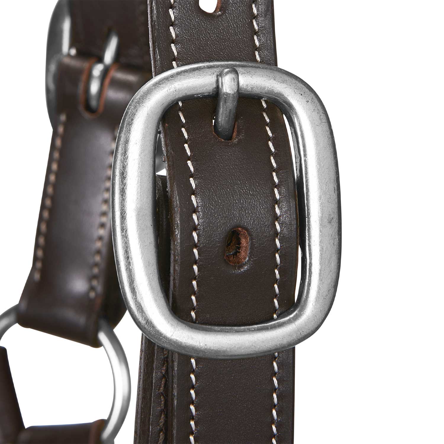 Equestro Cavezza Cuoio Morbido Fibbie Resistenti