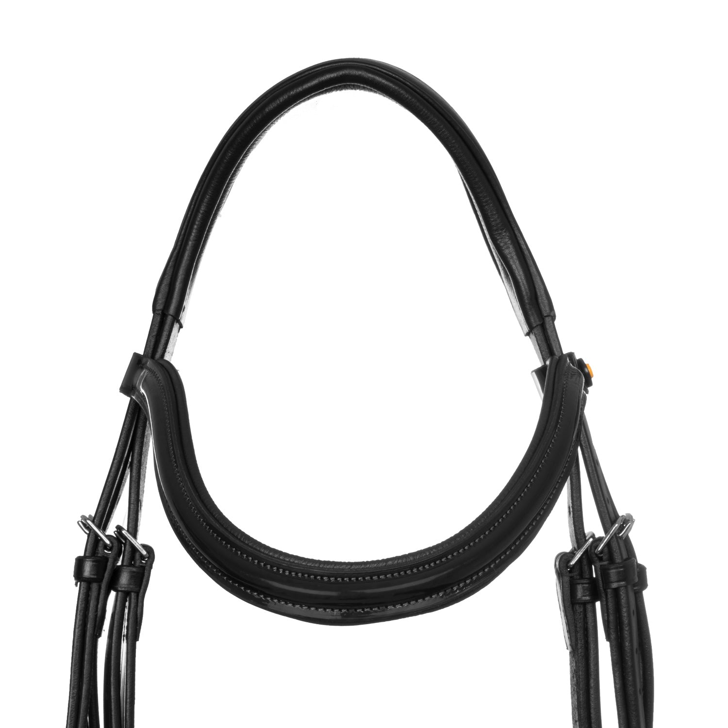 Equestro Testiera Anatomica Nasalina Imbottita