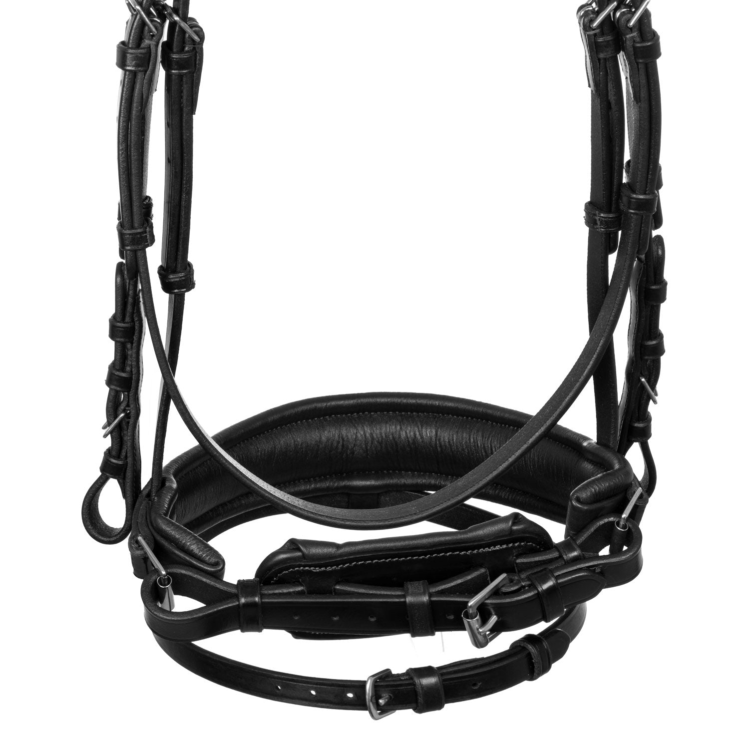 Equestro Testiera Anatomica Nasalina Imbottita