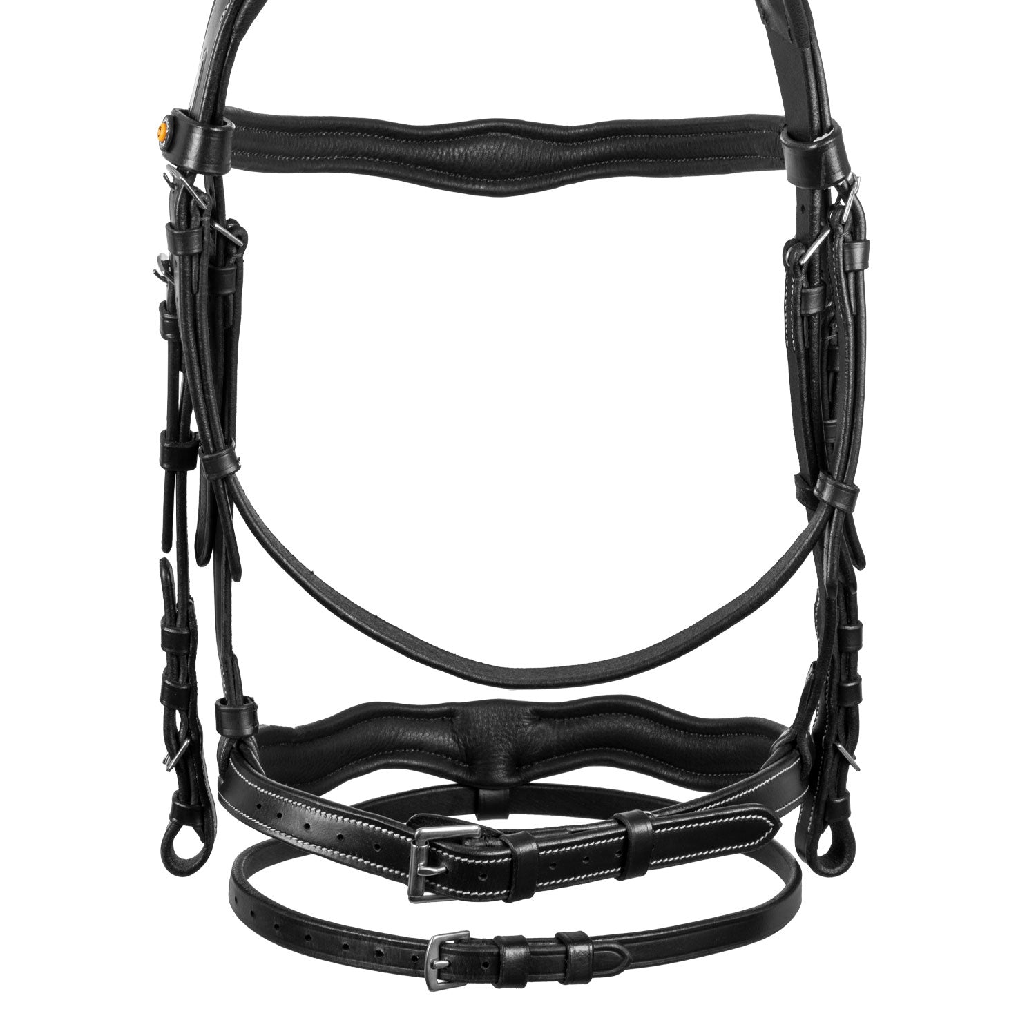 Equestro Testiera Anatomica con Logo
