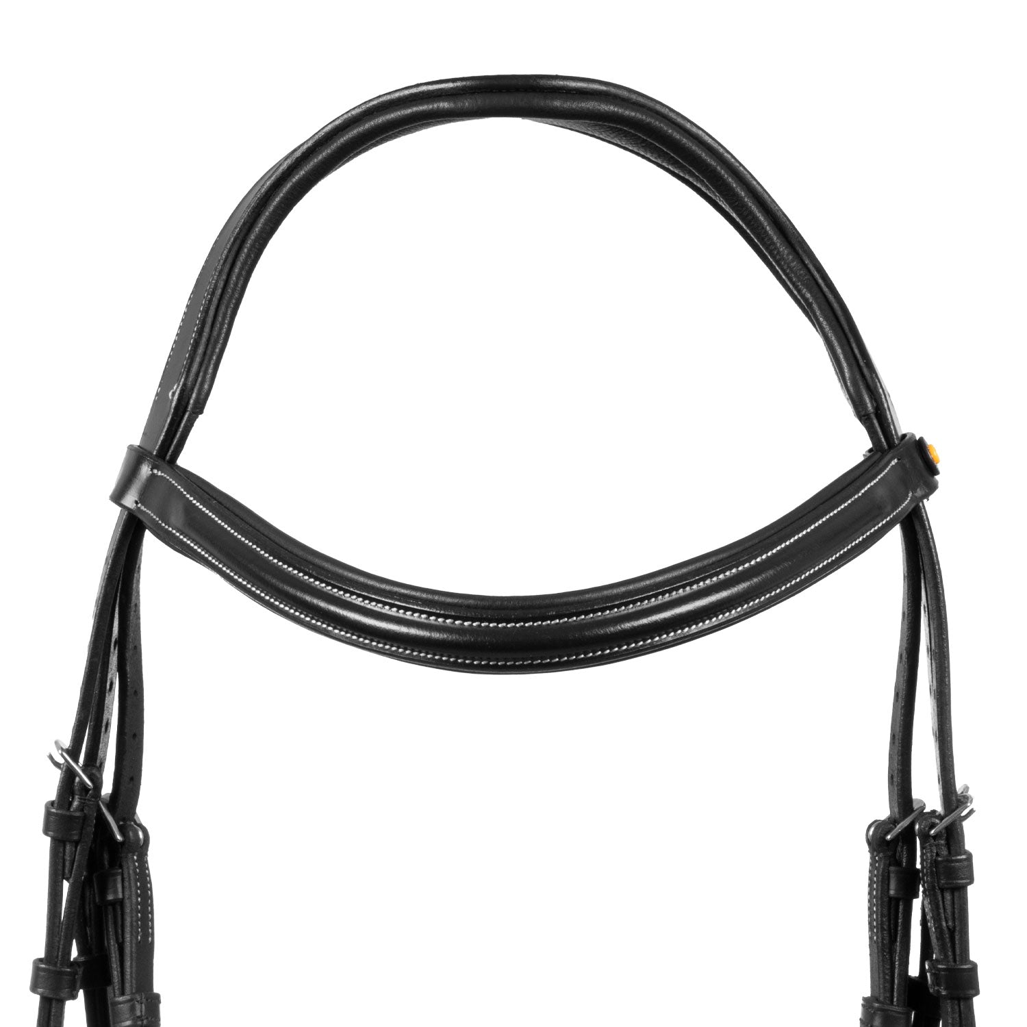 Equestro Testiera Anatomica Rialzata e Imbottita