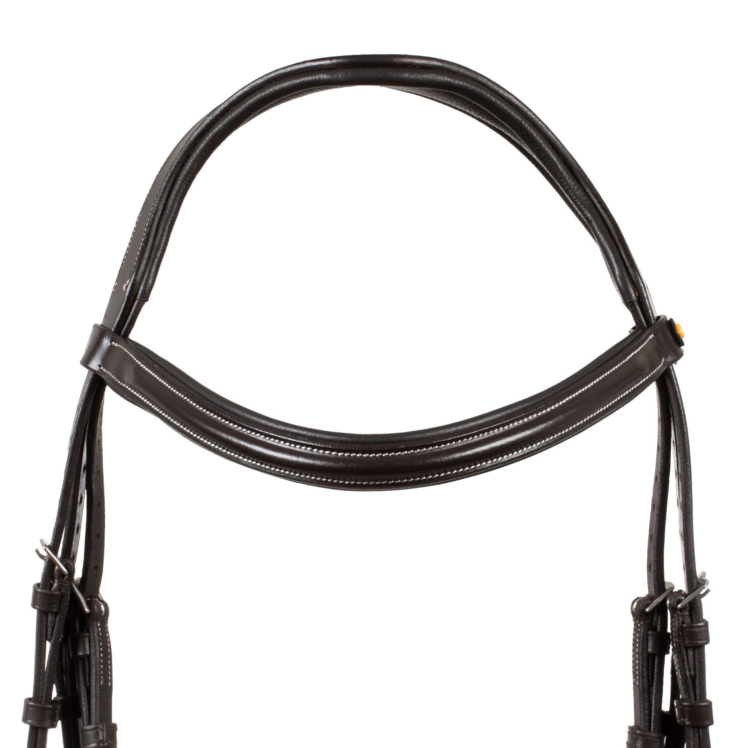 Equestro Testiera Anatomica Rialzata e Imbottita