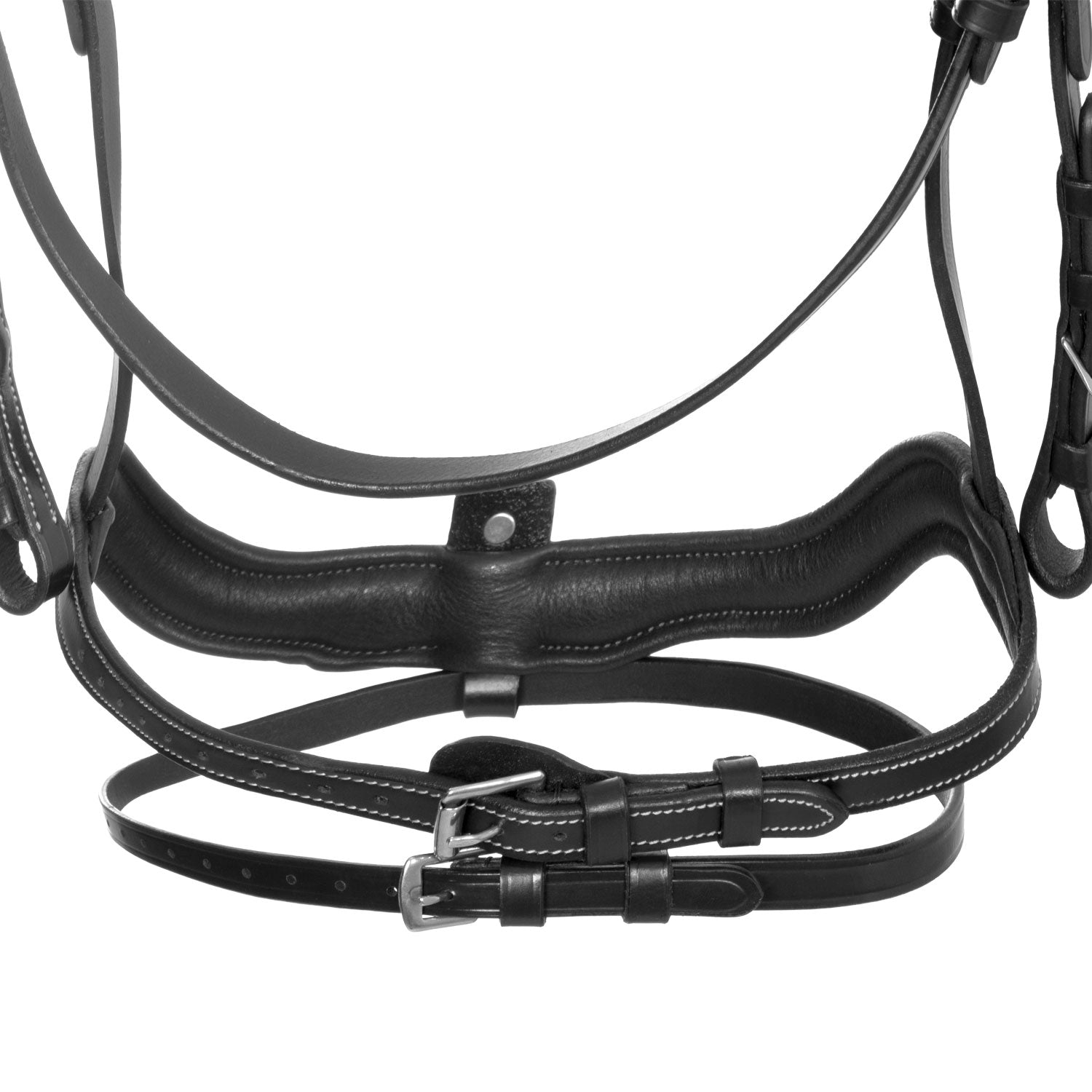 Equestro Testiera Anatomica con Nasalina Curva