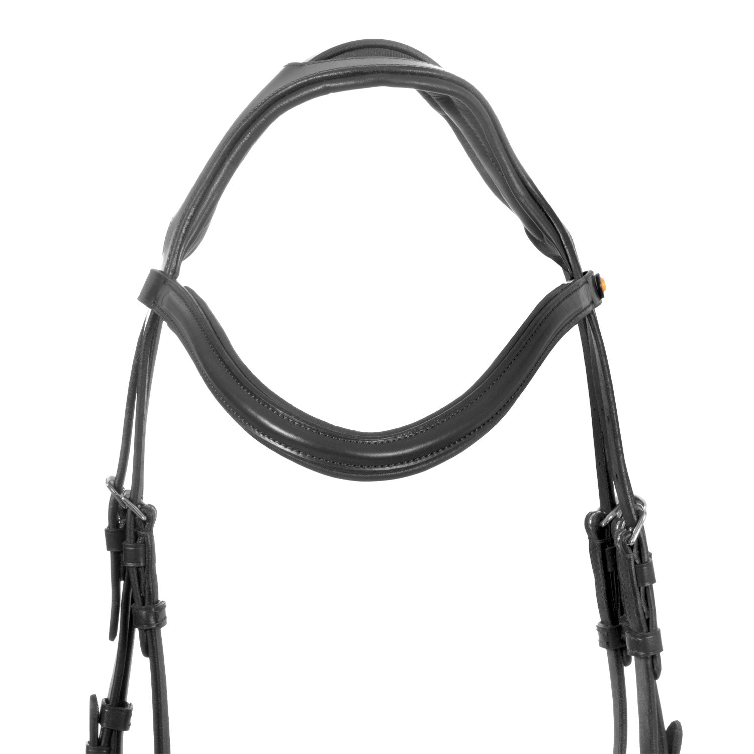 Equestro Testiera Inglese con Capezzina Anatomica