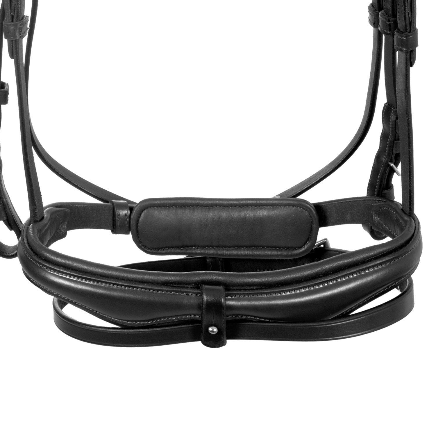 Equestro Testiera Inglese con Capezzina Anatomica