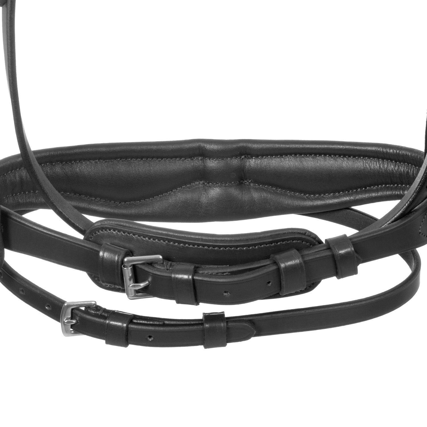 Equestro Testiera Inglese con Capezzina Anatomica