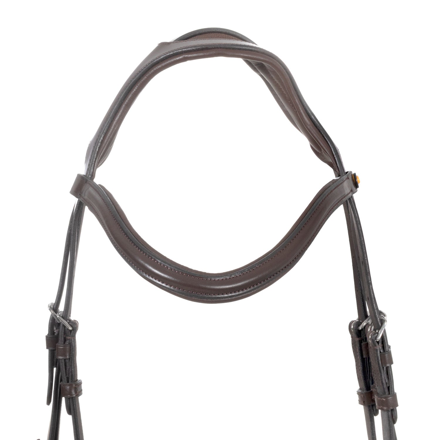 Equestro Testiera Inglese con Capezzina Anatomica