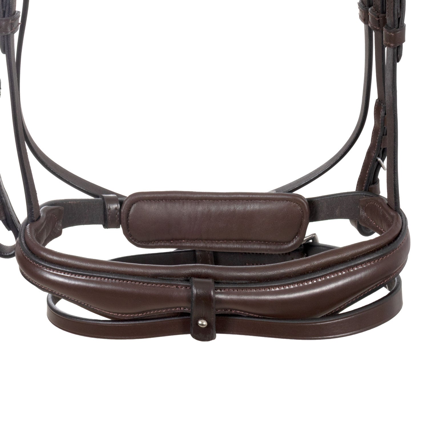 Equestro Testiera Inglese con Capezzina Anatomica