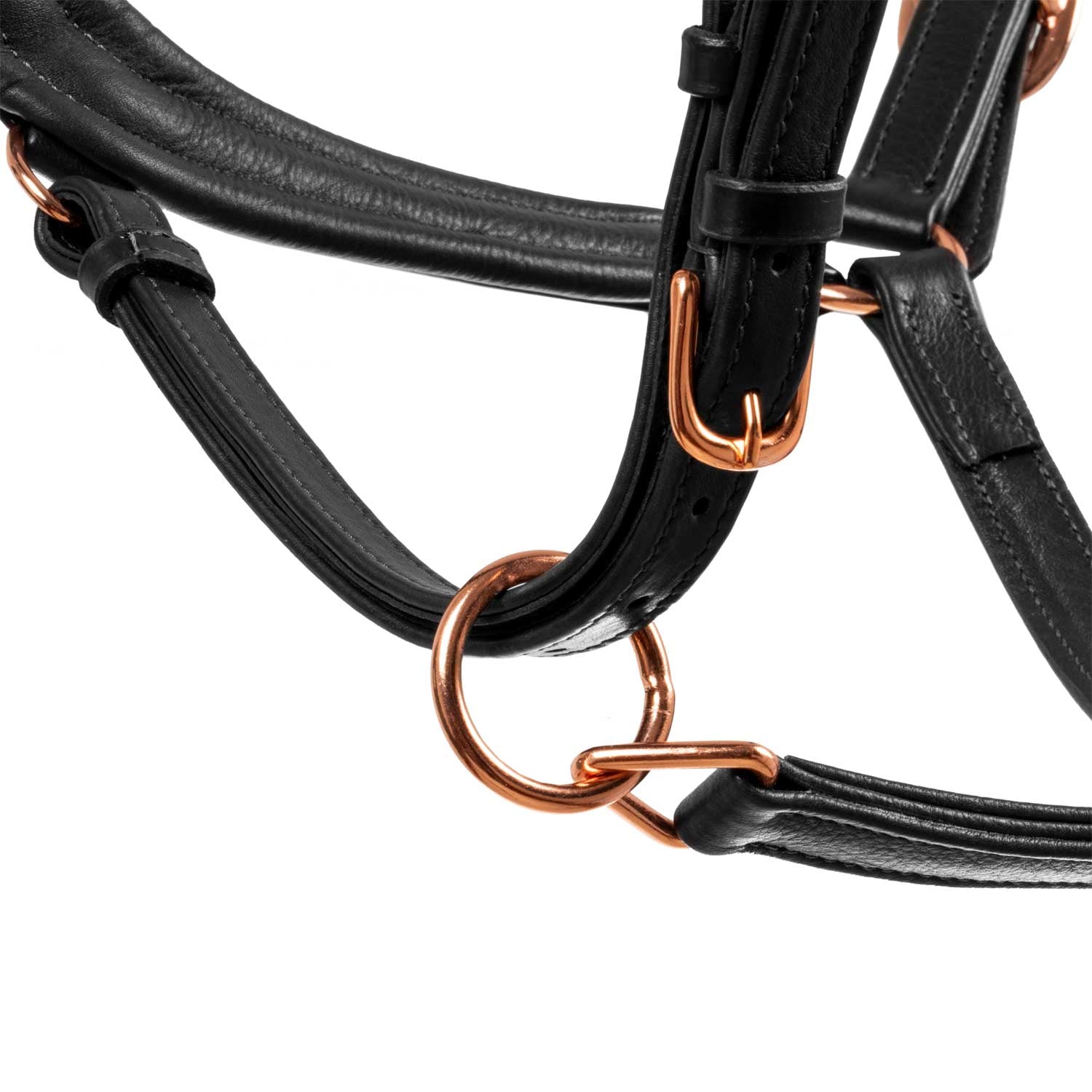 Equestro Cavezza Cuoio Lucido Fibbie Rose Gold