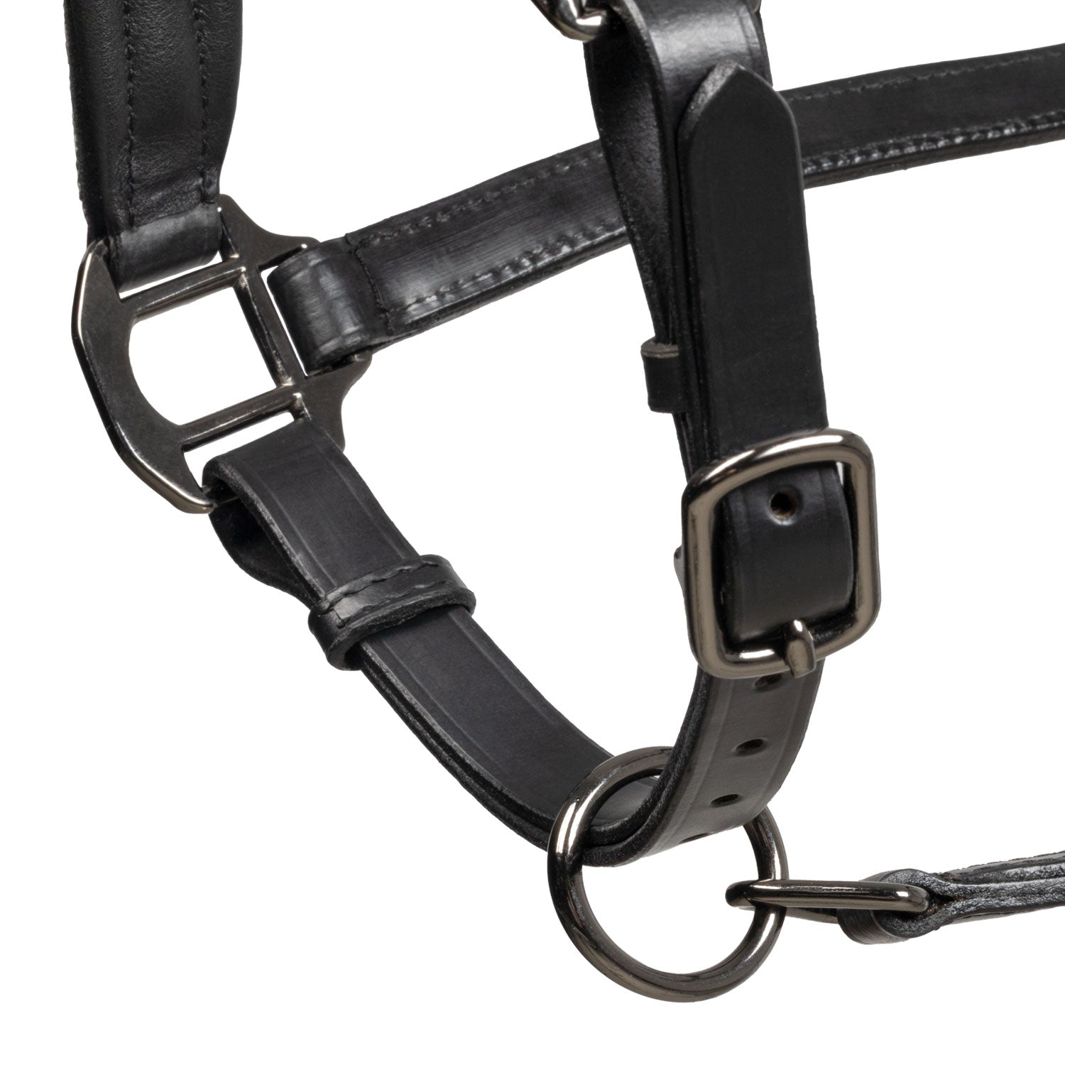 Equestro Cavezza in Cuoio con Piping Glitterato
