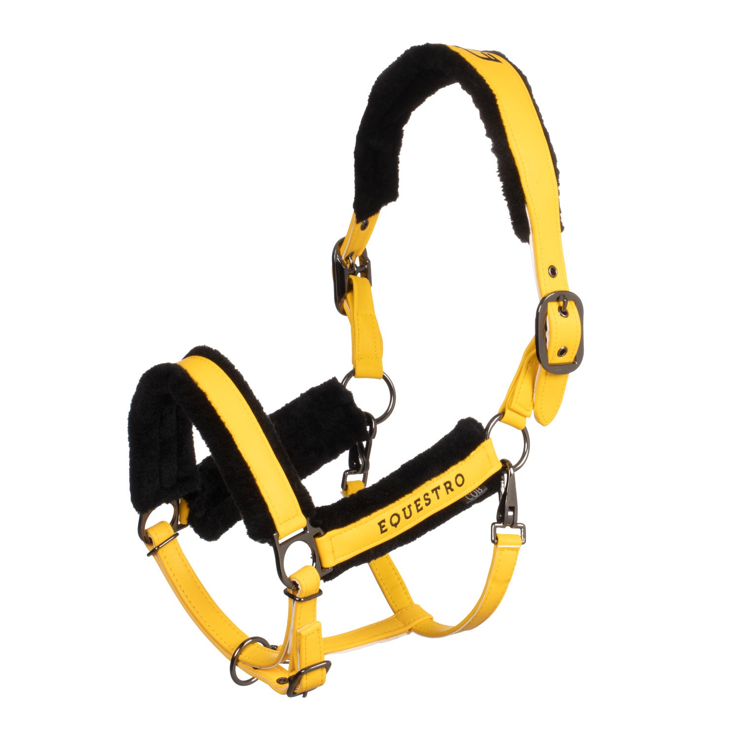 Equestro Cavezza in Polipropene con Imbottitura Montone Sintetico