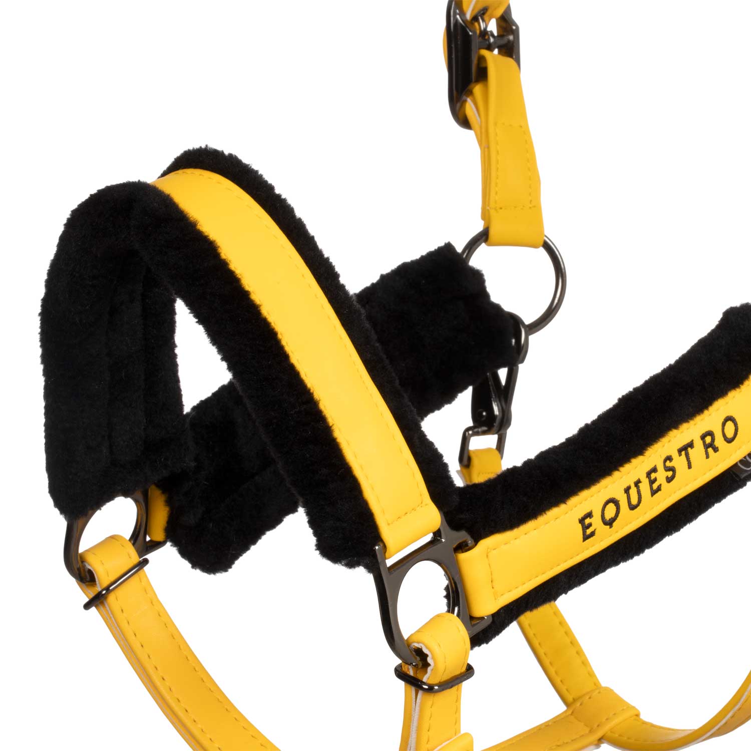 Equestro Cavezza in Polipropene con Imbottitura Montone Sintetico