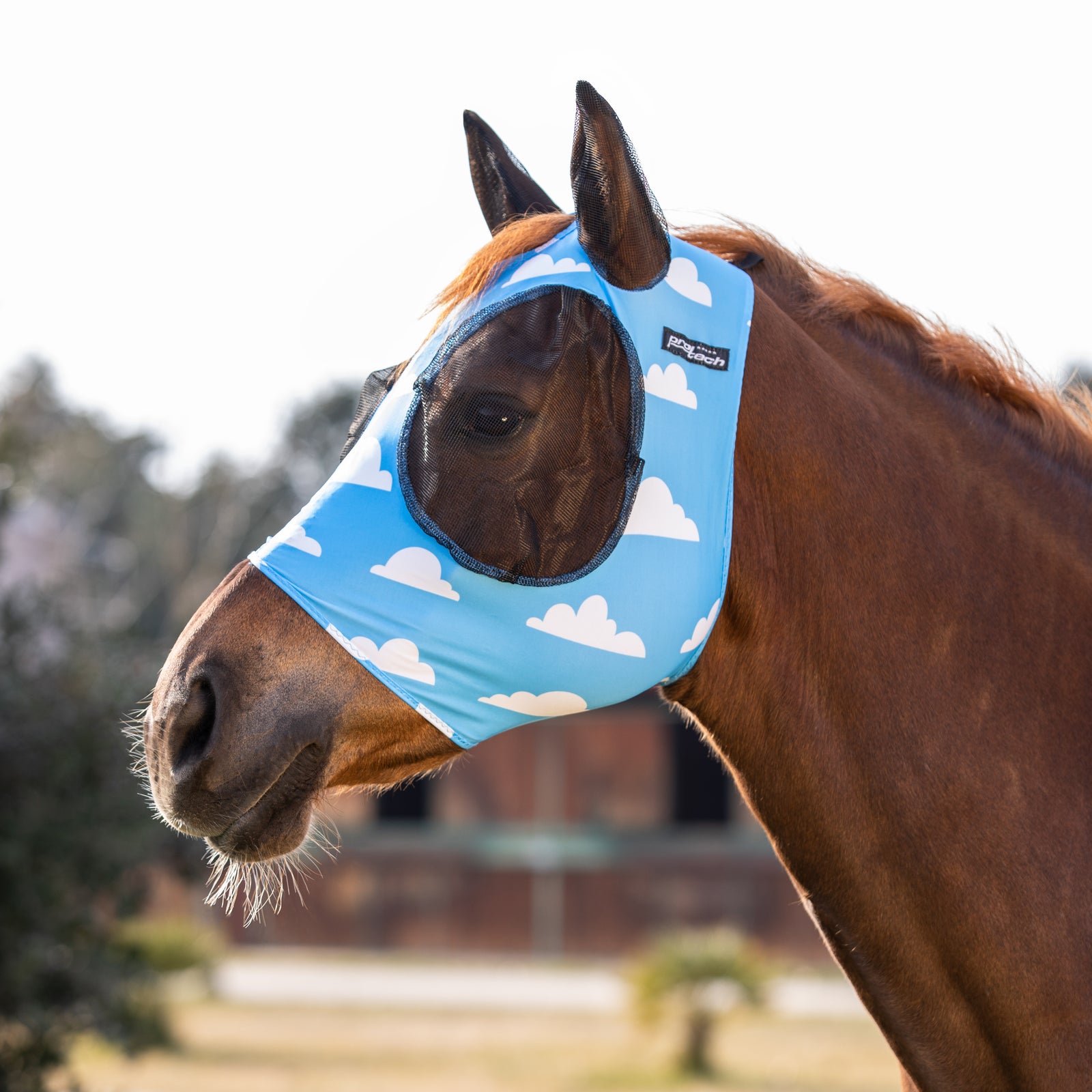 Maschera anti mosche in lycra con rete copriorecchie CLOUD