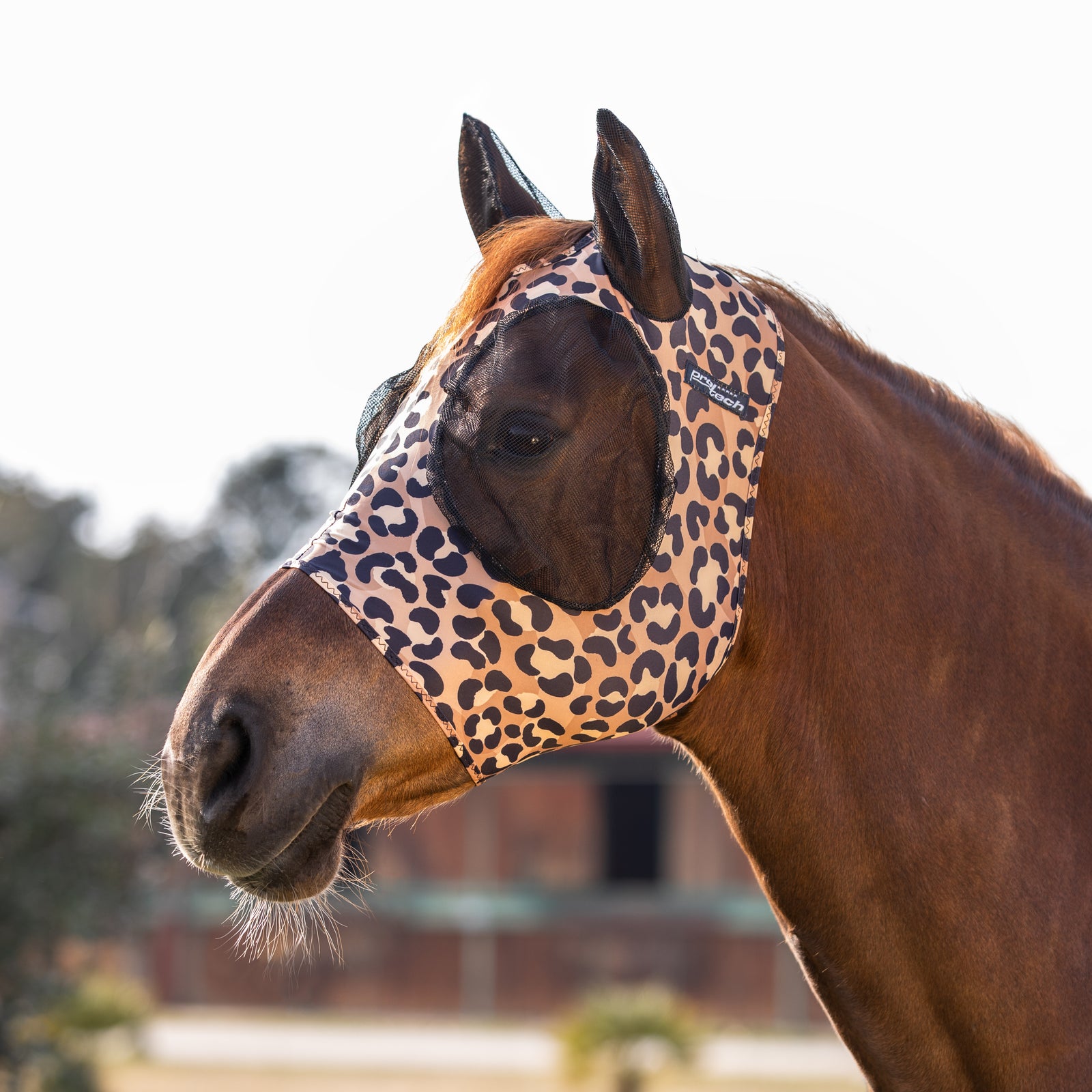 Maschera anti mosche in lycra con rete copriorecchie LEOPARD