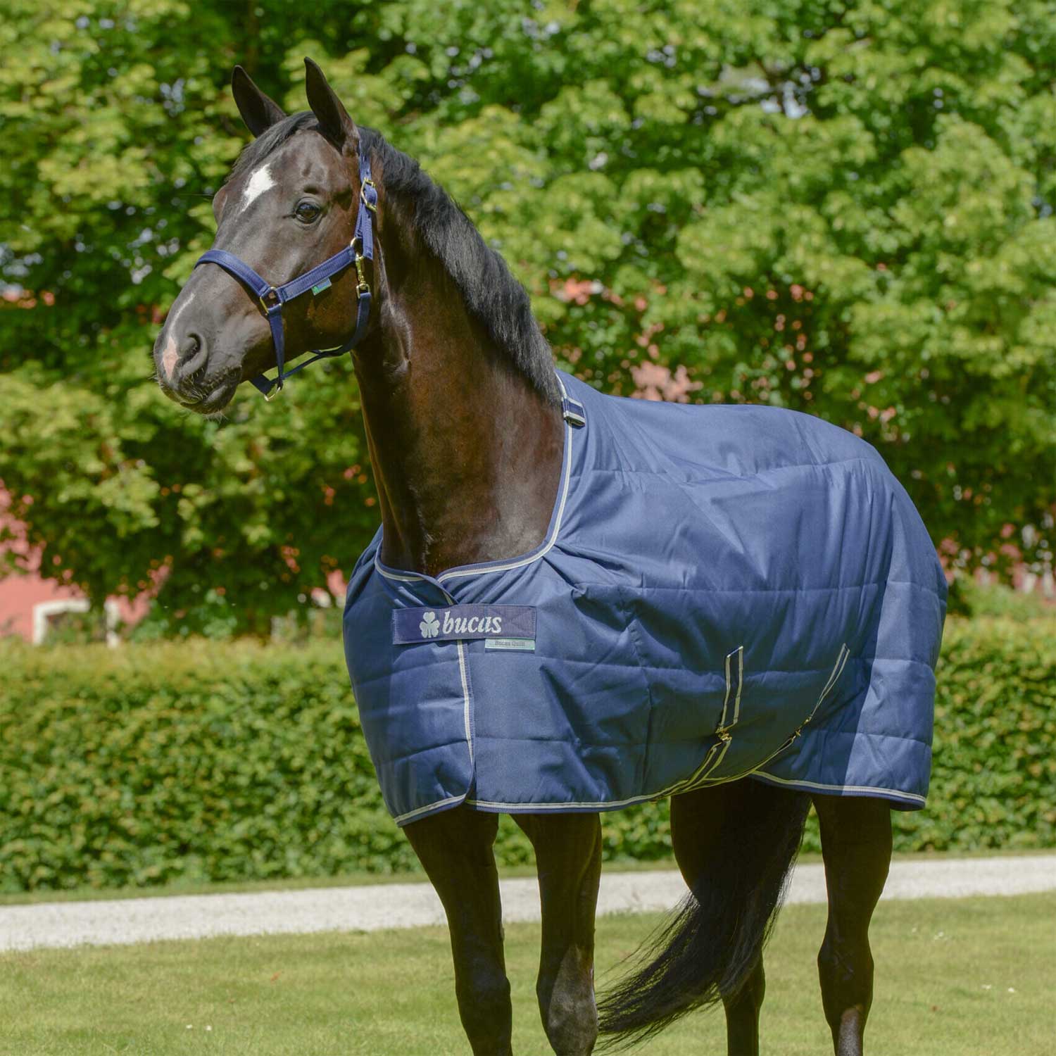 Bucas coperta bucas quilts 300 sd stay dry lining - neutra