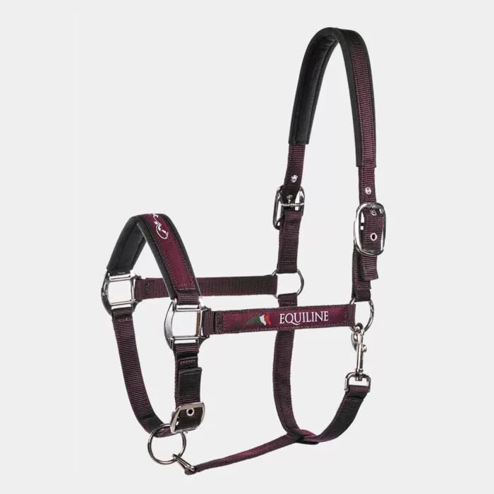 Cavezza Equiline Timmy