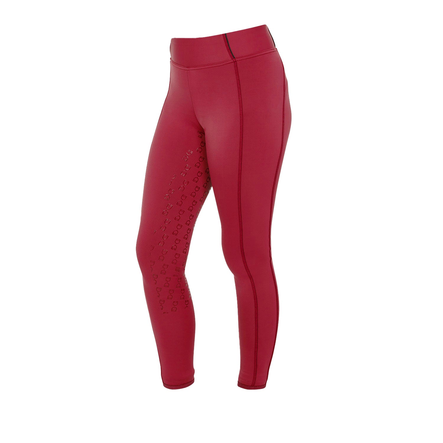Equestro girl's fleece lining classic leggings - Colore SCOOTER (19-1863)