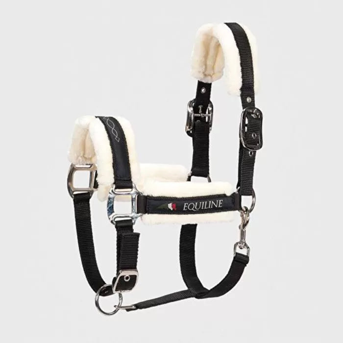 Cavezza Equiline Tom Ecowool