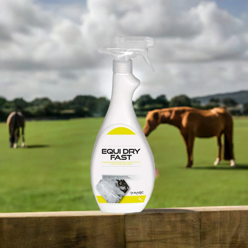Masc EQUI DRY FAST per l'evaporazione graduale del sudore nel cavallo sportivo