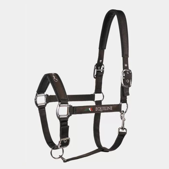 Cavezza Equiline Timmy