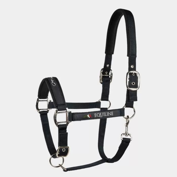 Cavezza Equiline Timmy