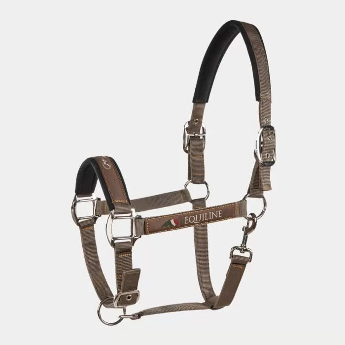 Cavezza Equiline Timmy