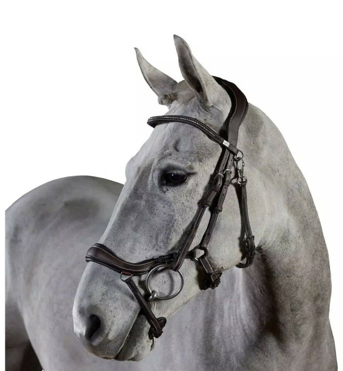 Testiera anatomica per cavallo monta inglese in pelle superiore Testa Di Moro, redini incluse